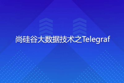 尚硅谷<em>大数据</em>技术之Telegraf