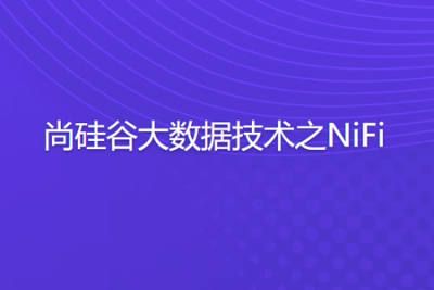 尚硅谷<em>大数据</em>技术之NiFi