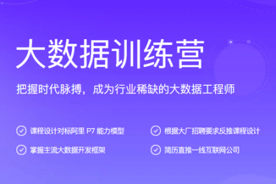 <em>大数据</em>训练营|2021年|价值5990元|完结