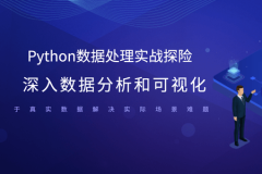 Python数据处理实战探险 深入数据分析和可视化 基于真实数据解决实际场景难题