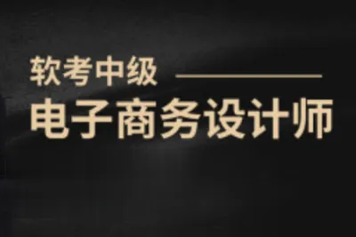 希赛海滨.<em>软</em>考中级电子商务设计师 | 完结