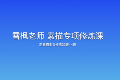 雪枫老师 素描专项修炼课-新素描主义修炼33讲+4讲