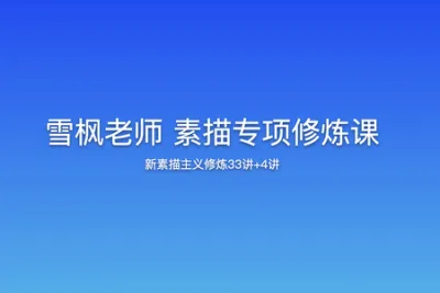 雪枫老师 素描专项修炼课-新素描主义修炼33讲+4讲