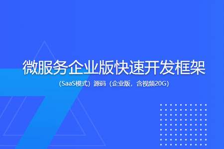 微服务企业版快速开发框架(SaaS模式)源码(企业版,含视频20G)