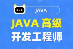 图灵课堂 Java高级开发工程师