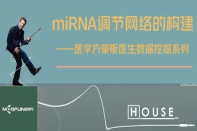 数据挖掘—miRNA调节网络的构建