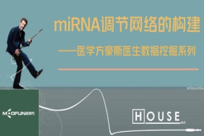 <em>数据</em>挖掘—miRNA调节网络的构建