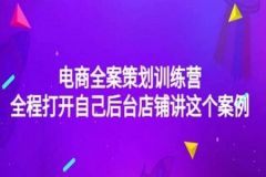 电商全案策划训练营：全程打开自己后台店铺讲这个案例（9节课时）