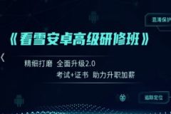 看雪《安卓高级研修班(网课)》月薪两万计划
