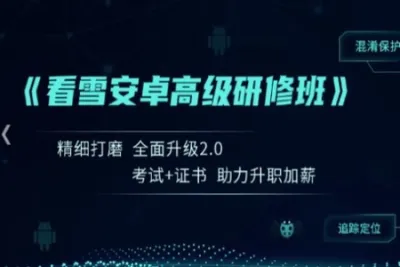 <em>看</em>雪《安卓高级研修班(网课)》月薪两万计划