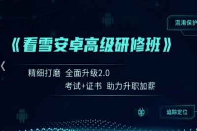 看雪《<em>安</em><em>卓</em>高级研修班(网课)》月薪两万计划