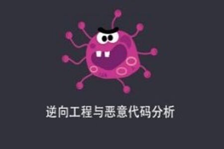 逆向工程与恶意代码分析