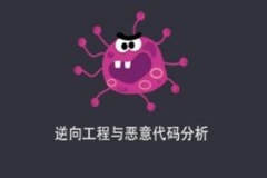 逆向工程与恶意代码分析