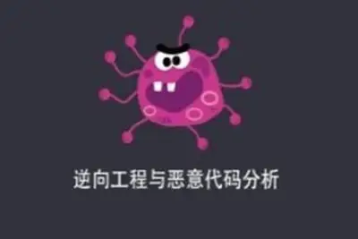 逆向工程与恶意代码分析