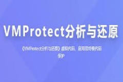 看雪-VMProtect分析与还原