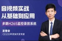 C++音视频实战-FFmpeg基础到工程-多路H265监控录放开发