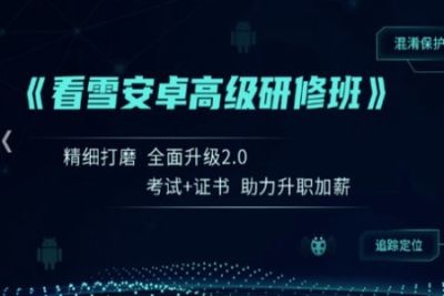 看雪《<em>安</em><em>卓</em>高级研修班(网课)》月薪三万计划