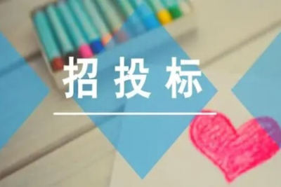 程序员修炼<em>课</em>：招投标入门到标书<em>技巧</em>