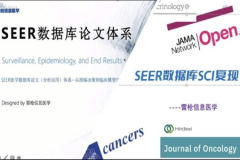 SEER数据库论文体系–基础与进阶（实战+复现二合一版本）
