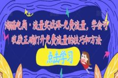 淘猫电商·流量实战课-免费流量，学会可收获正确打开免费流量的技巧和方法