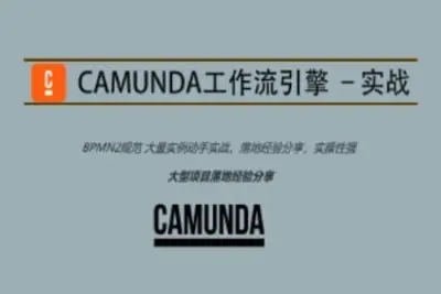 Camunda高级实战<em>培训</em>系列教程
