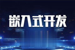 嵌入式大佬课2023