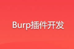 Burp插件开发