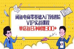 圣域电商闲鱼电商零基础入门到进阶VIP实战课程，单店每日净利增300+