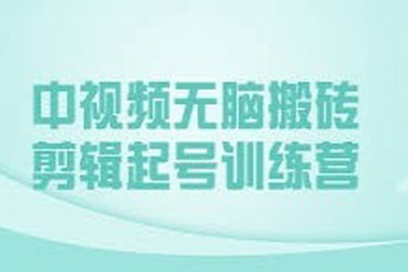 森罗万项：中视频无脑搬砖+二次解说&训练营