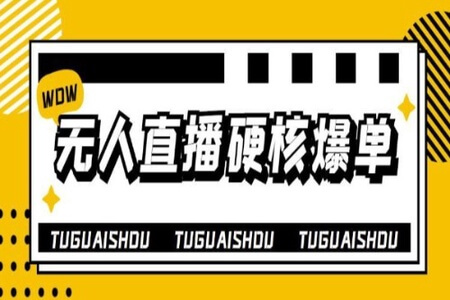 大飞无人直播硬核爆单技术,轻松玩转无人直播,暴利躺赚