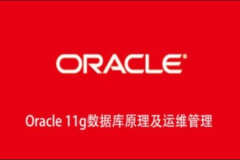 Oracle 11g数据库原理及运维管理