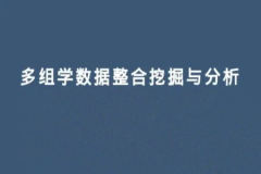 多组学数据分析及挖掘培训班