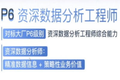奈学-P6<em>数据分析</em>保薪班1期