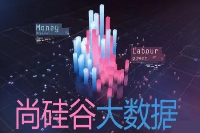 <em>尚</em><em>硅谷</em>大数据学科-项目实战