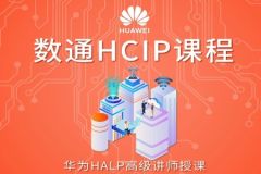数通HCIP-IE周末班