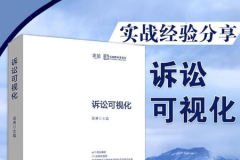 诉讼可视化
