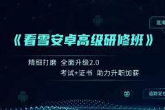 2024夏季班安卓高级研修班月薪两万计划