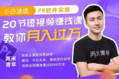 小白速成PR软件实操：20节短视频赚钱课，教你月入过万