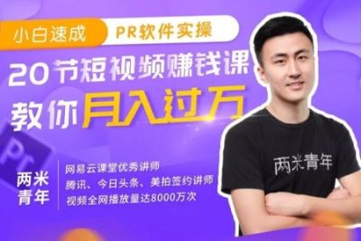 小白速成PR<em>软件</em>实操：20节短<em>视频</em>赚钱<em>课</em>，教你月入过万