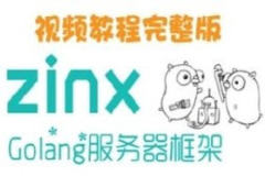 Zinx-Golang轻量级TCP服务器框架 – 带源码课件