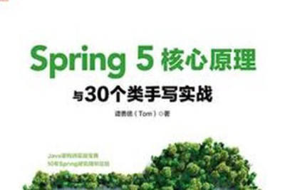 Spring 5核心原理与30个<em>类</em>手写实战
