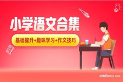 丁颖-小学作文高分训练营