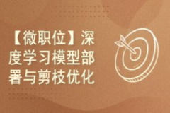 深度学习模型部署与剪枝优化实例