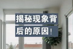 智慧系列 第1季 现象背后的原因