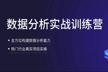 拉钩-数据分析实战训练营|价值12890元|完结