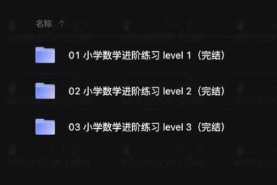小学数学进阶练习 level <em>3</em>