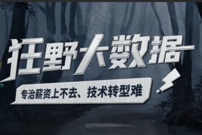 黑马狂野<em>大数据</em>2期 | 完结