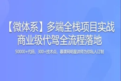 多端全栈项目实战，大型商业级代驾业务全流程落地|价值1299元|更新至7章