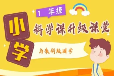 一<em>年</em>级科学课-升级课堂