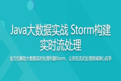 Java<em>大数据</em>实战 Storm构建实时流处理 | 完结